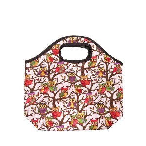 SACOLA TERMICA ESTAMPA CORUJA 32 X 32 CM