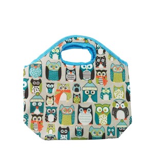 SACOLA TERMICA ESTAMPA CORUJA 32 X 32 CM