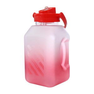 GARRAFA PLÁSTICA QUADRADA COM CANUDO E ALÇA 1 LITRO - GDR0781-VM