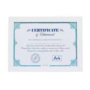 PORTA RETRATO PARA CERTIFICADOS TAMANHO A4 21X30 COM ACETATO - SXBT5249-BR