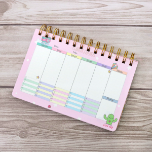PLANNER PERMANENTE SEMANAL 12,5X18,8CM - 21684P1-RS