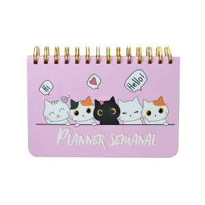 PLANNER PERMANENTE SEMANAL 12,5X18,8CM - 21684P1-LL
