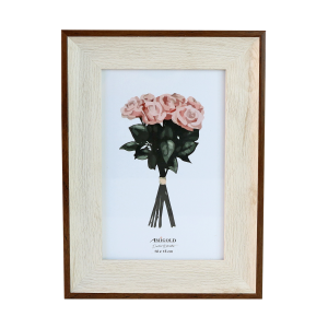 PORTA RETRATO DE PLÁSTICO 10X15CM - 3761-D