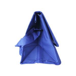 BOLSA TÉRMICA DE POLIESTER COM ALÇA 13 LITROS - CA15075-AZ