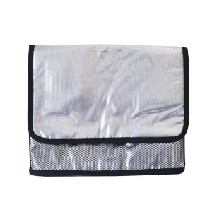 BOLSA TÉRMICA DE POLIESTER COM ALÇA 13 LITROS - CA15075-PT